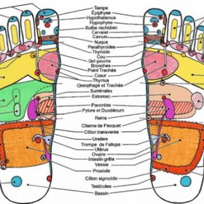 Reflexologie